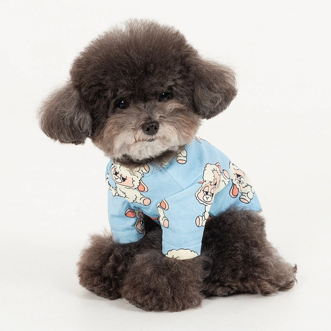 即納【andblank】ICONIC Pico Short Sleeve（Sky Blue）