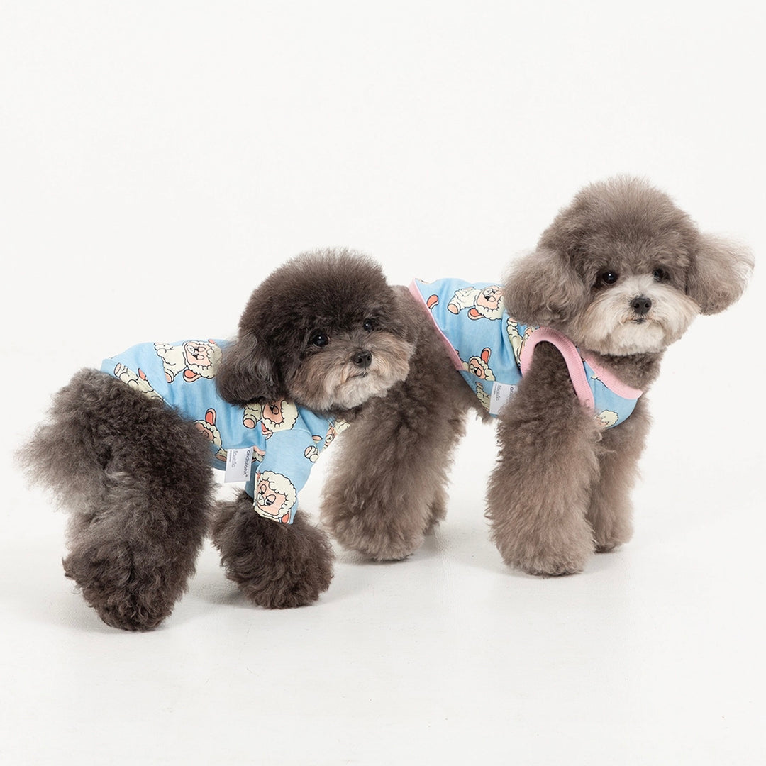 即納【andblank】ICONIC Pico Short Sleeve（Sky Blue）