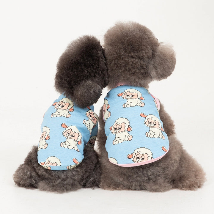 即納【andblank】ICONIC Pico Short Sleeve（Sky Blue）