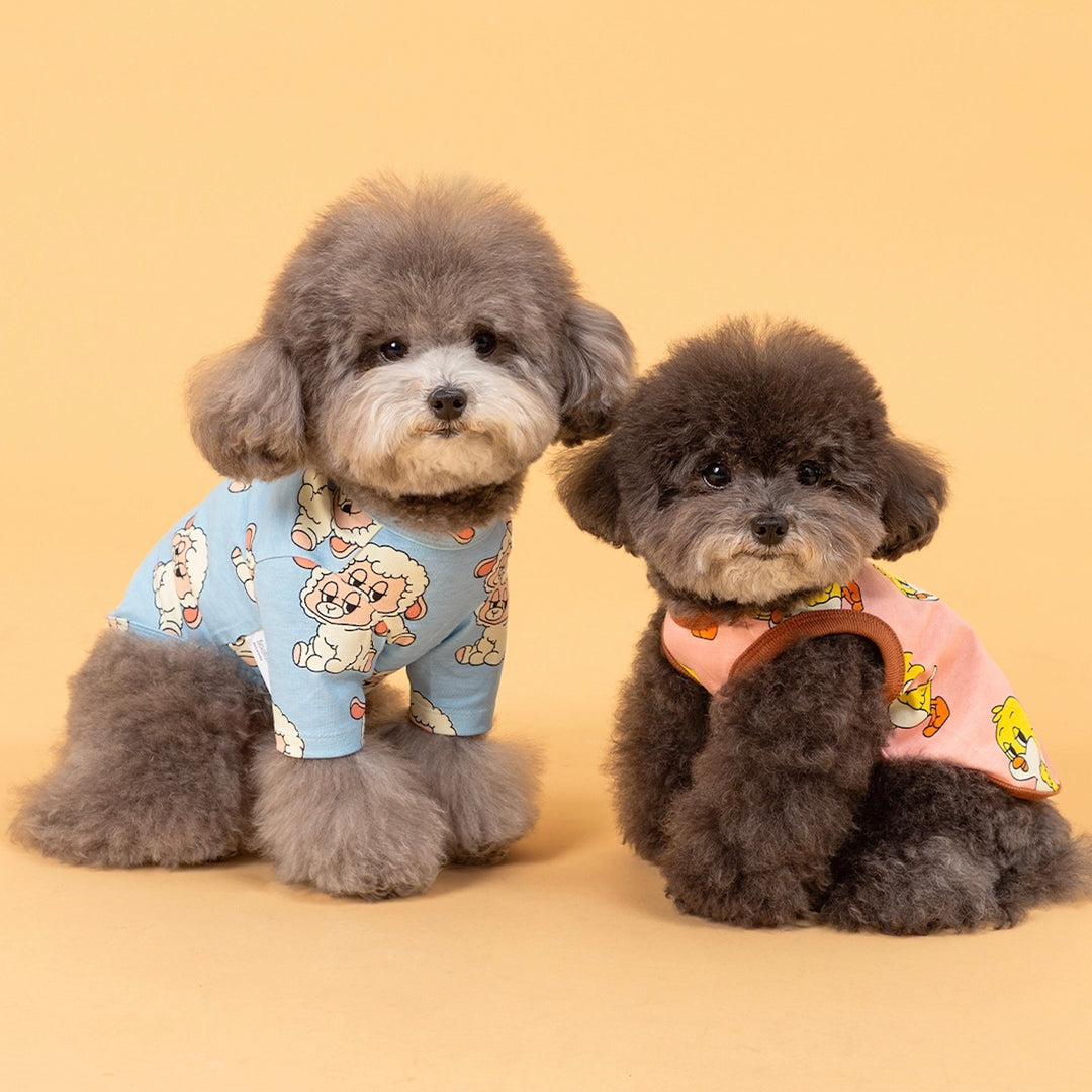 即納【andblank】ICONIC Pico Short Sleeve（Sky Blue）