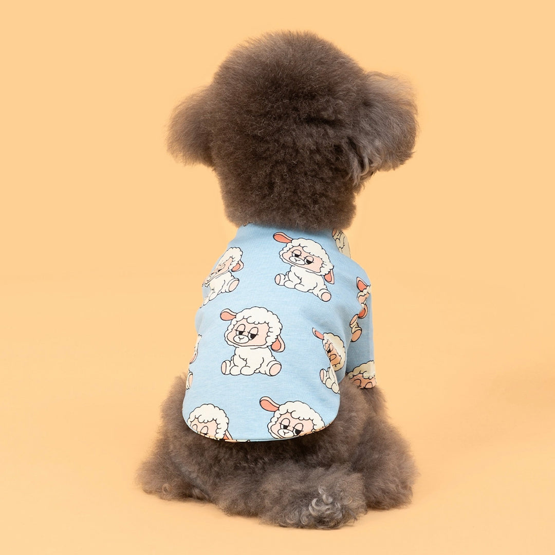 即納【andblank】ICONIC Pico Short Sleeve（Sky Blue）