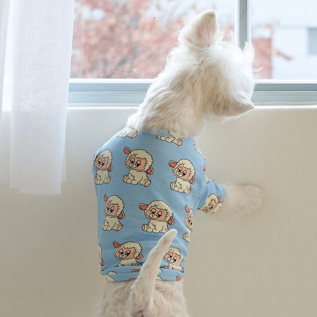 即納【andblank】ICONIC Pico Short Sleeve（Sky Blue）