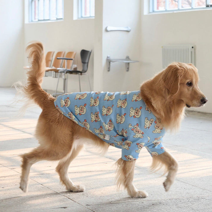 即納【andblank】ICONIC Pico Short Sleeve（Sky Blue）