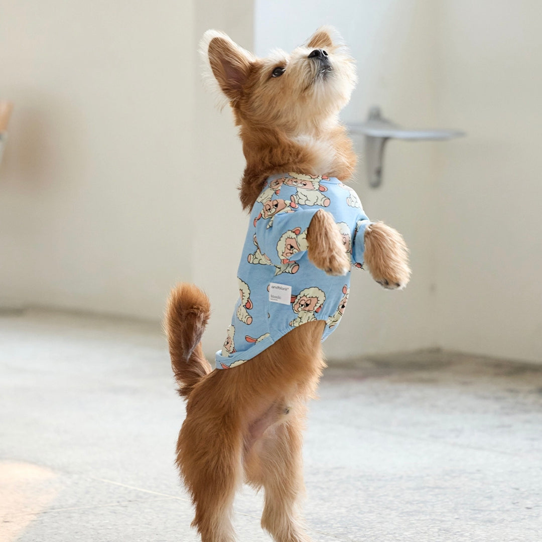 即納【andblank】ICONIC Pico Short Sleeve（Sky Blue）