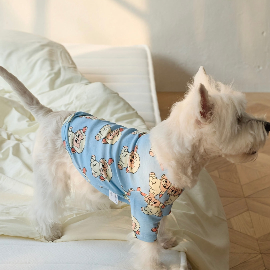 即納【andblank】ICONIC Pico Short Sleeve（Sky Blue）