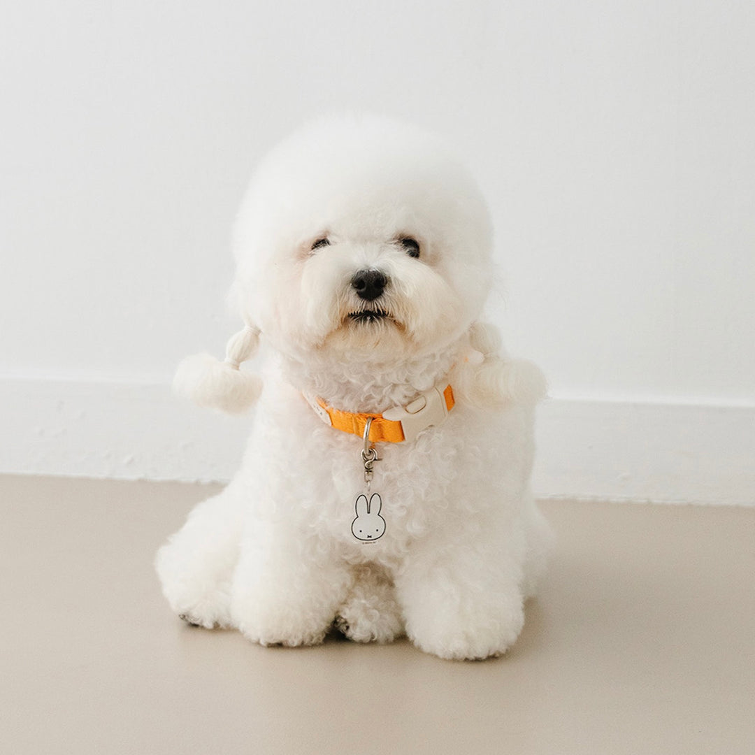 即納【noutti】Basic Miffy Collar