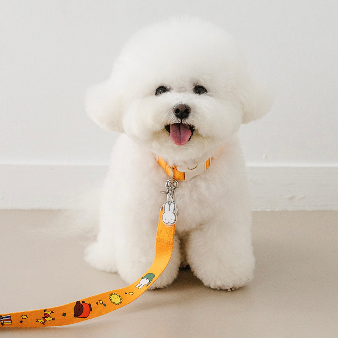 即納【noutti】Basic Miffy Collar