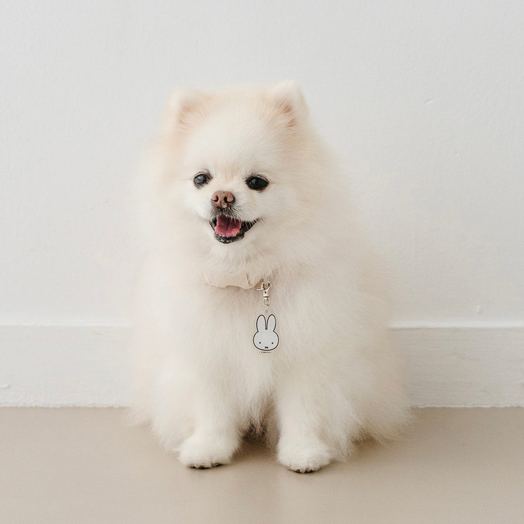 即納【noutti】Basic Miffy Collar