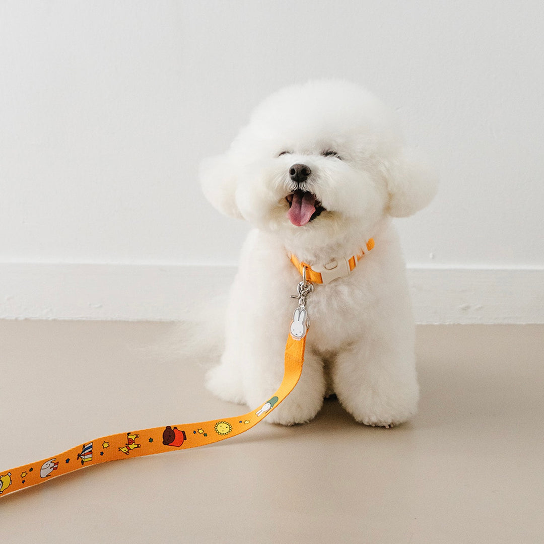 即納【noutti】Basic Miffy Collar