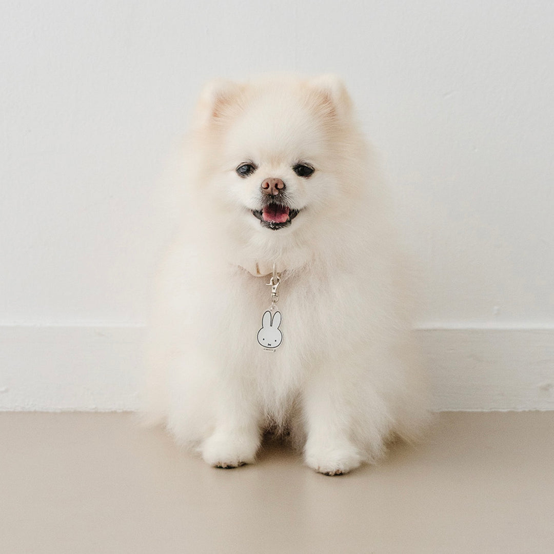 即納【noutti】Basic Miffy Collar