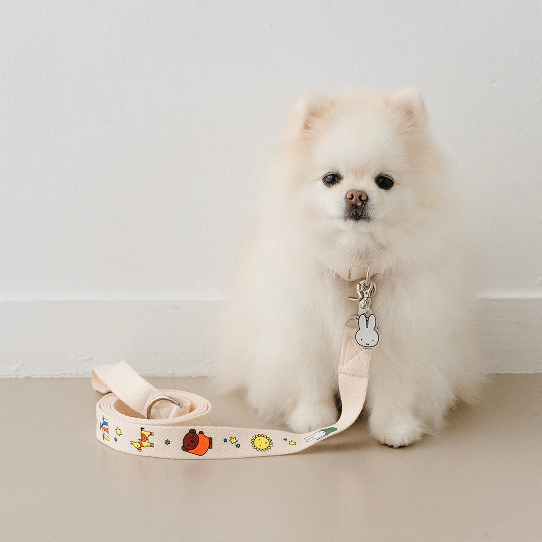 即納【noutti】Basic Miffy Collar