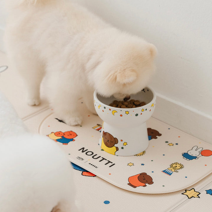 即納【noutti】Festival Miffy Bowl