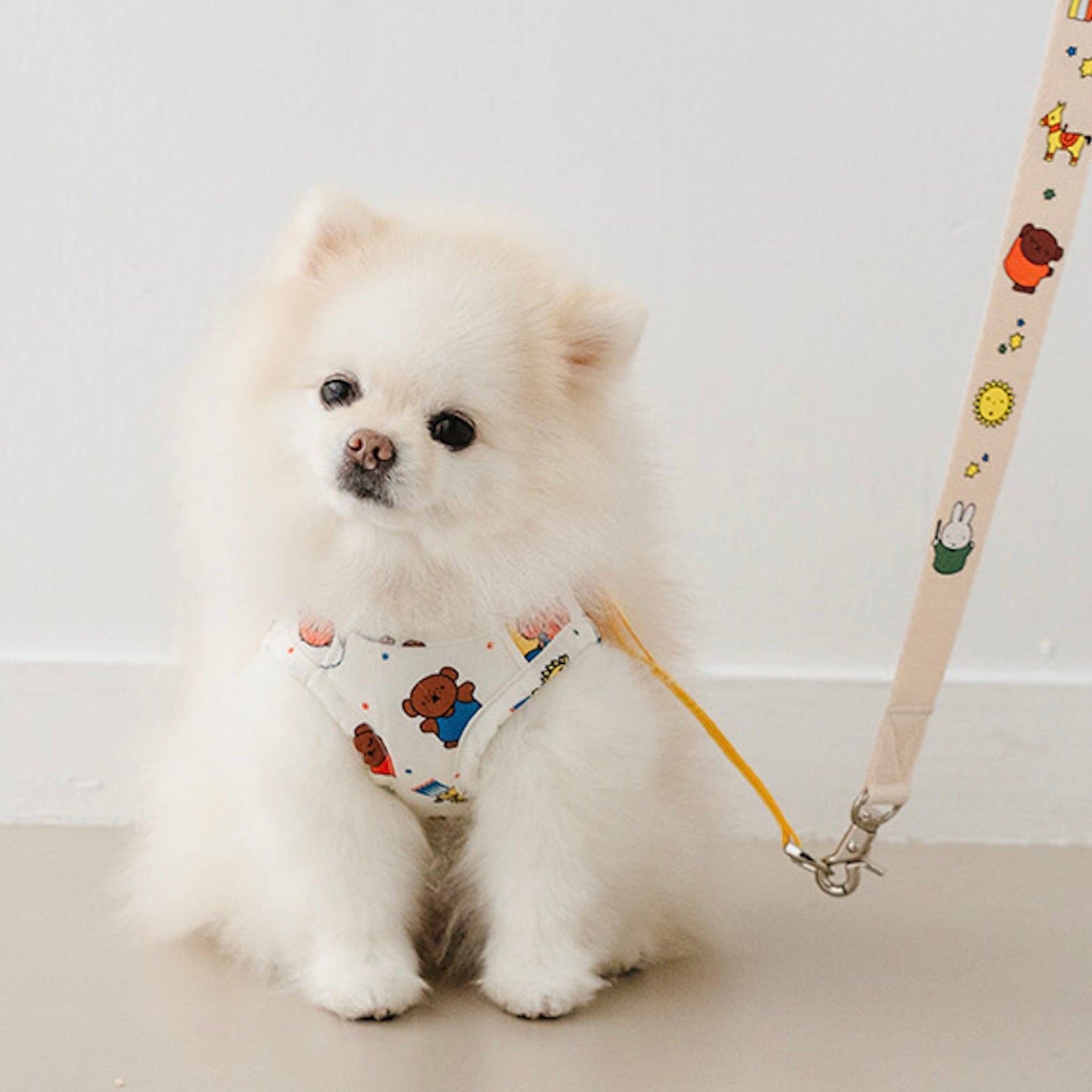 犬用ハーネス（ドッグハーネス） – URBAN DOG TOKYO