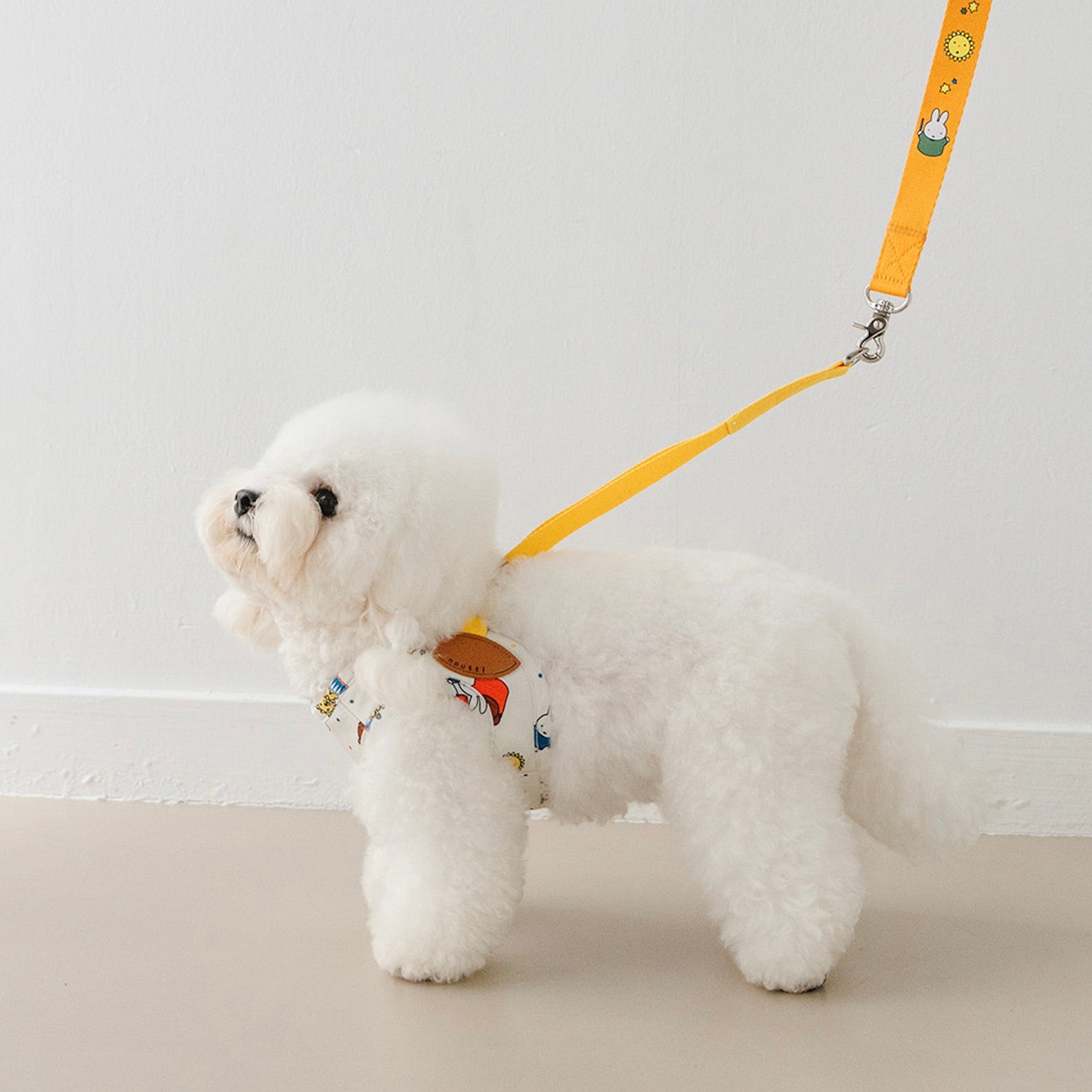 海外犬服 高品質なインポートのドッグウェア通販 