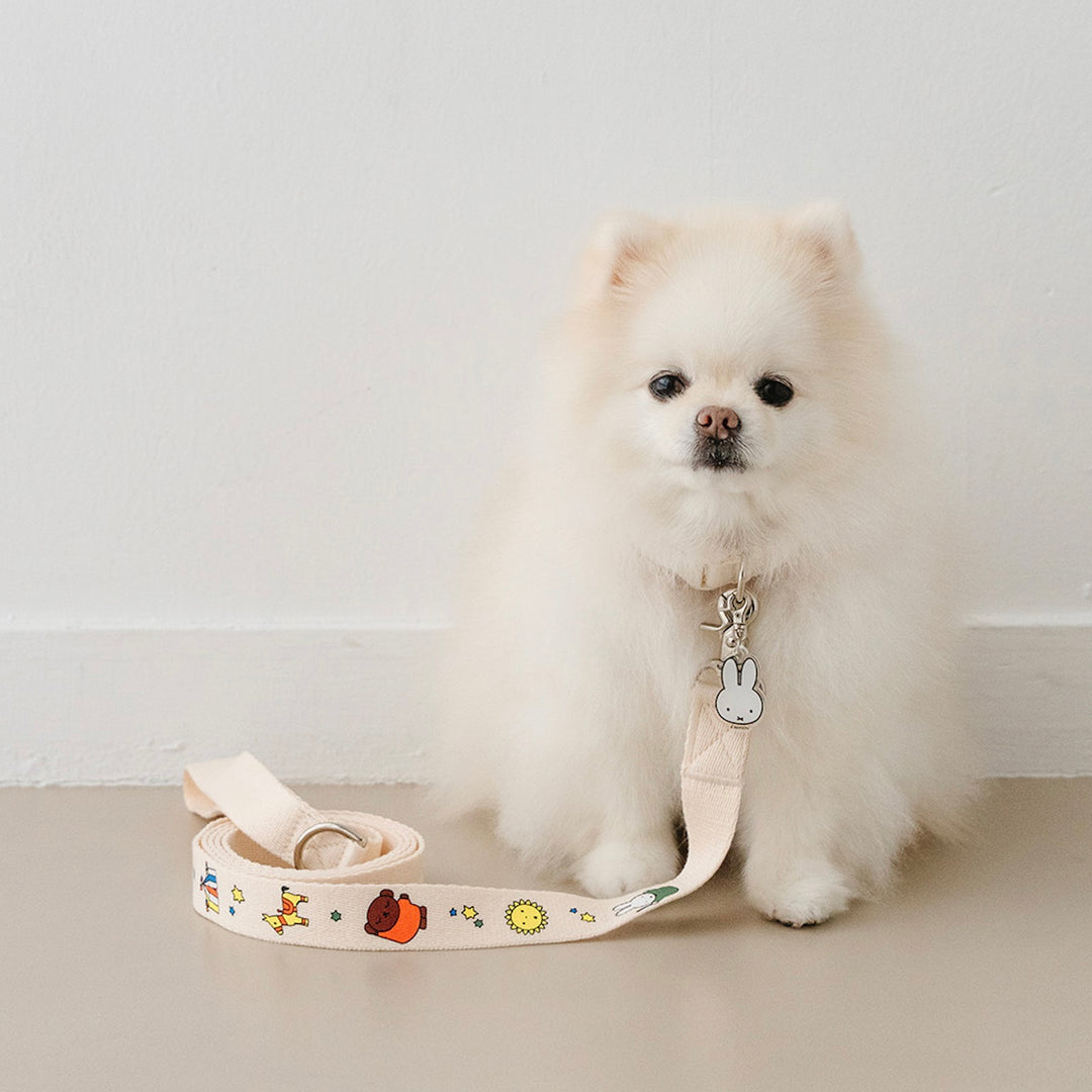 即納【noutti】Festival Miffy Leash
