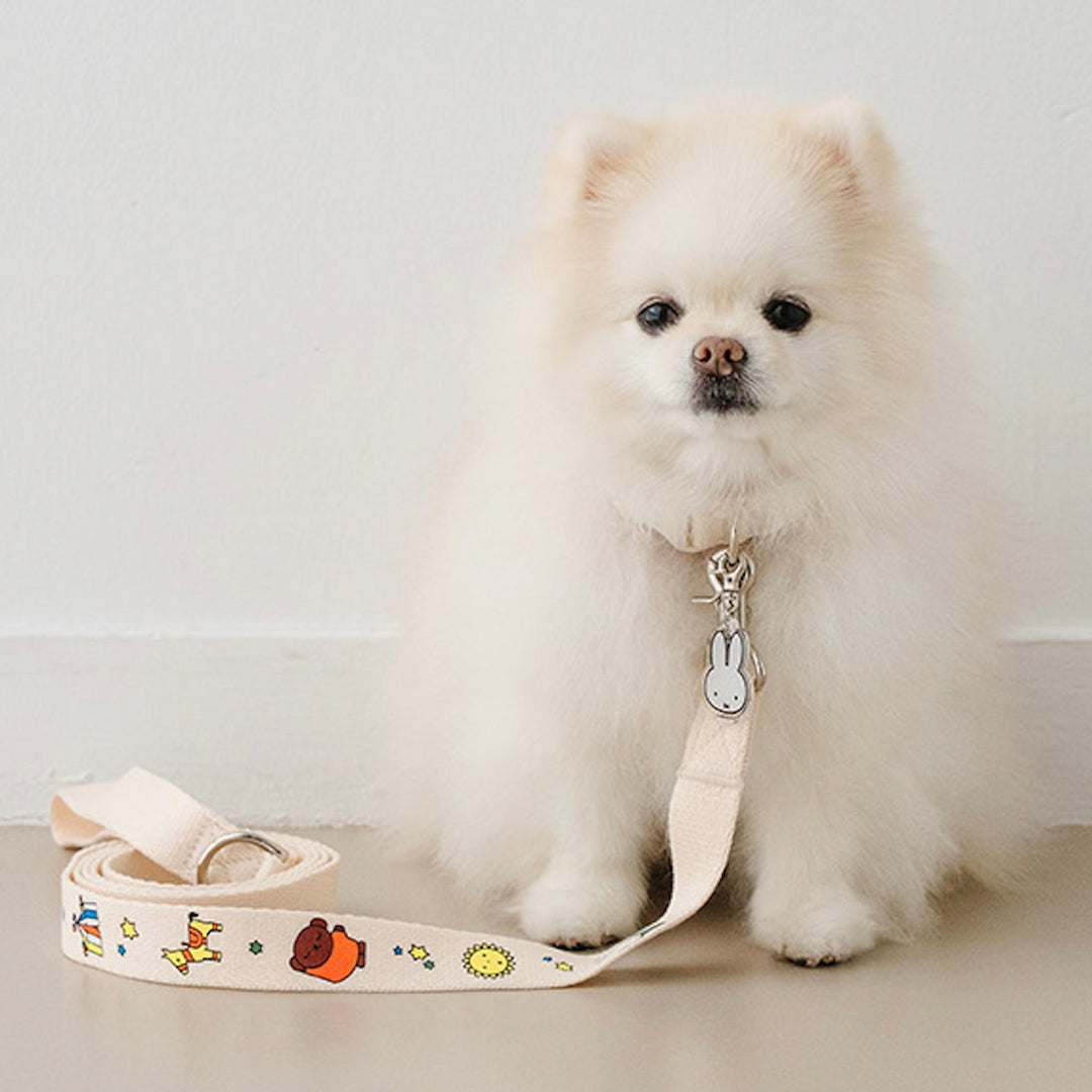 即納【noutti】Festival Miffy Leash