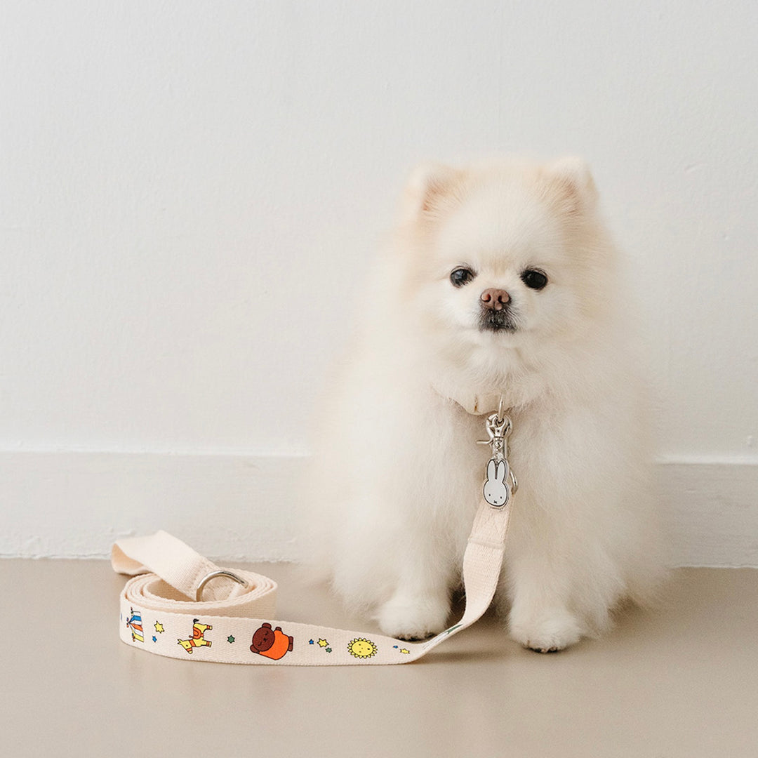 即納【noutti】Festival Miffy Leash