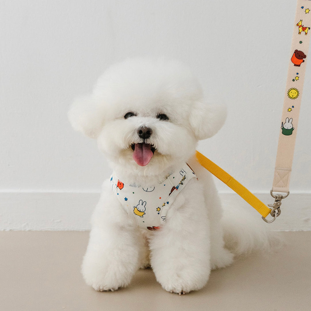 即納【noutti】Festival Miffy Leash