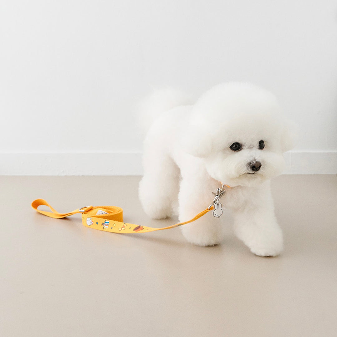 即納【noutti】Festival Miffy Leash