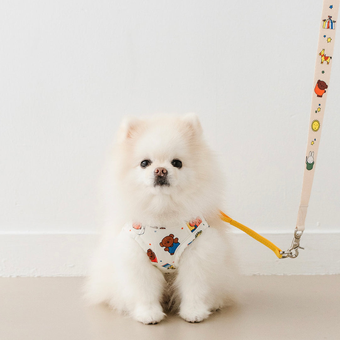 即納【noutti】Festival Miffy Leash