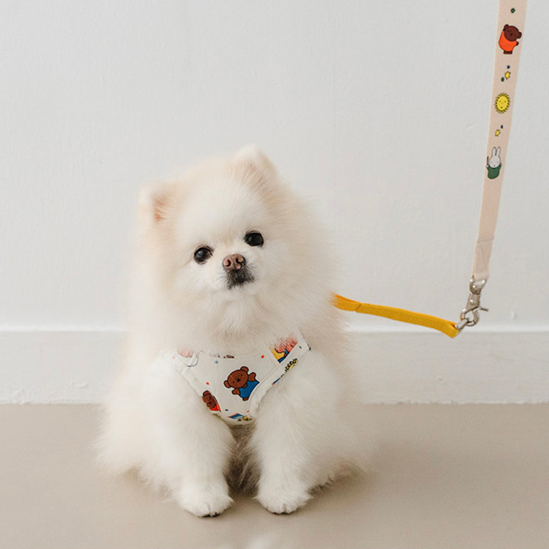 即納【noutti】Festival Miffy Leash