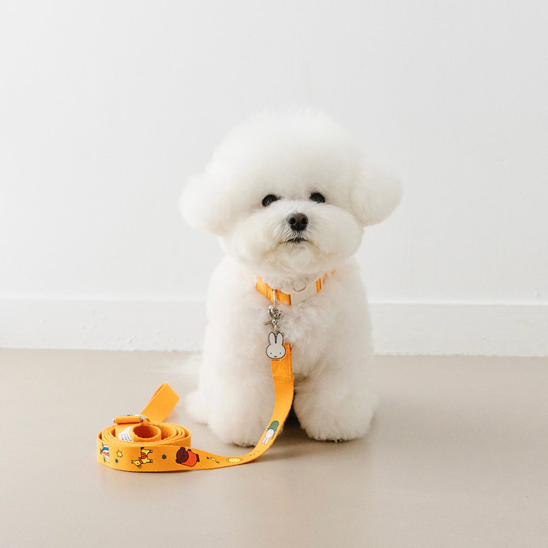 即納【noutti】Festival Miffy Leash