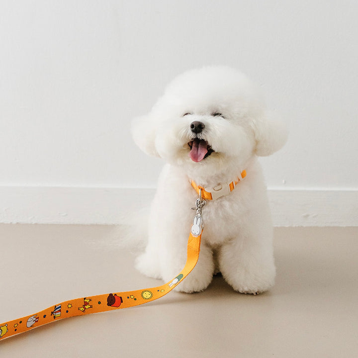 即納【noutti】Festival Miffy Leash