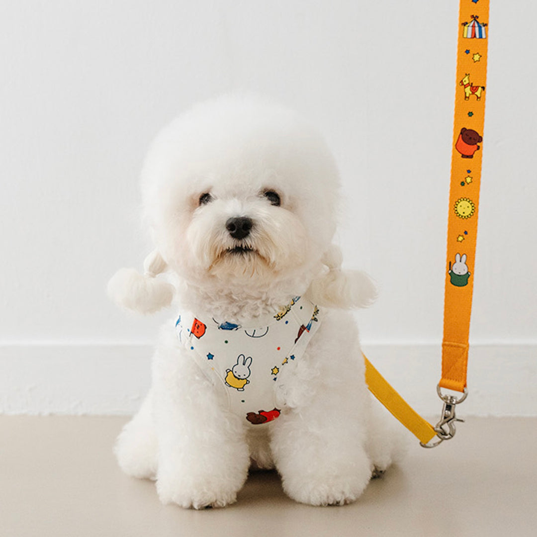 即納【noutti】Festival Miffy Leash