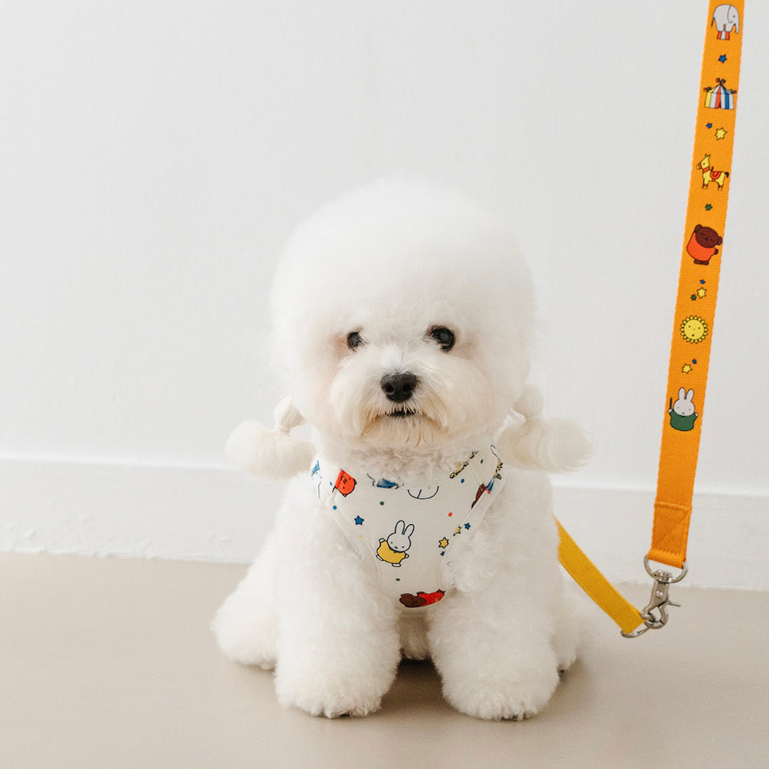 即納【noutti】Festival Miffy Leash