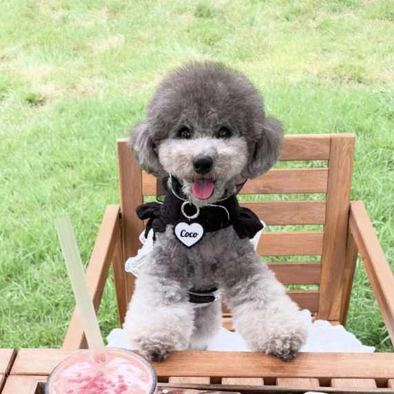 ※予約販売【studio.hoyo】Heart Lace Name Tag