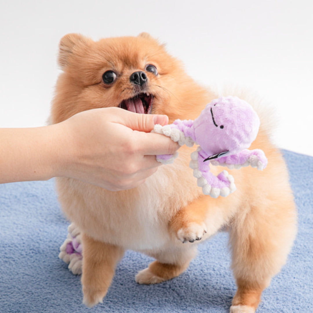 即納【BITE ME】Long Hands Ball Toy（2 types）