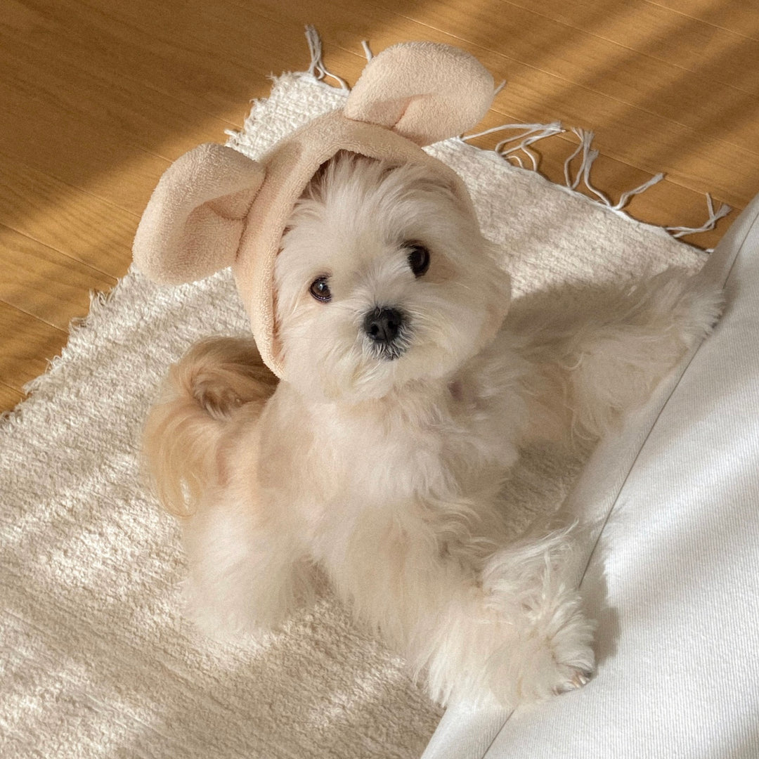 ※予約販売【OUNCE】Teddy Bear Vest & Bonnet（Cream）