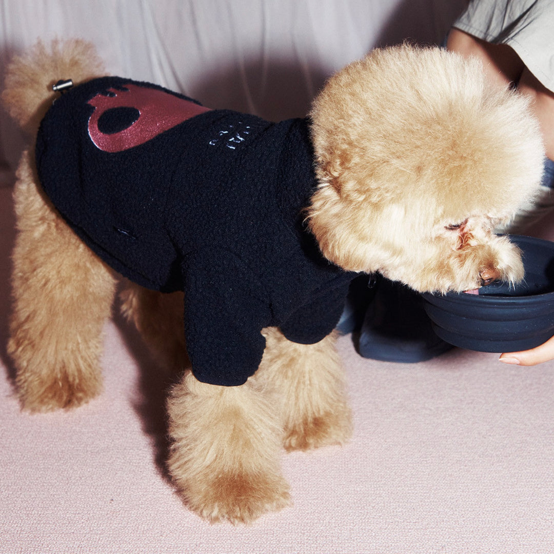 即納【ARUMARU】KUROMI × ARUMARU Folding Bowl（Black）