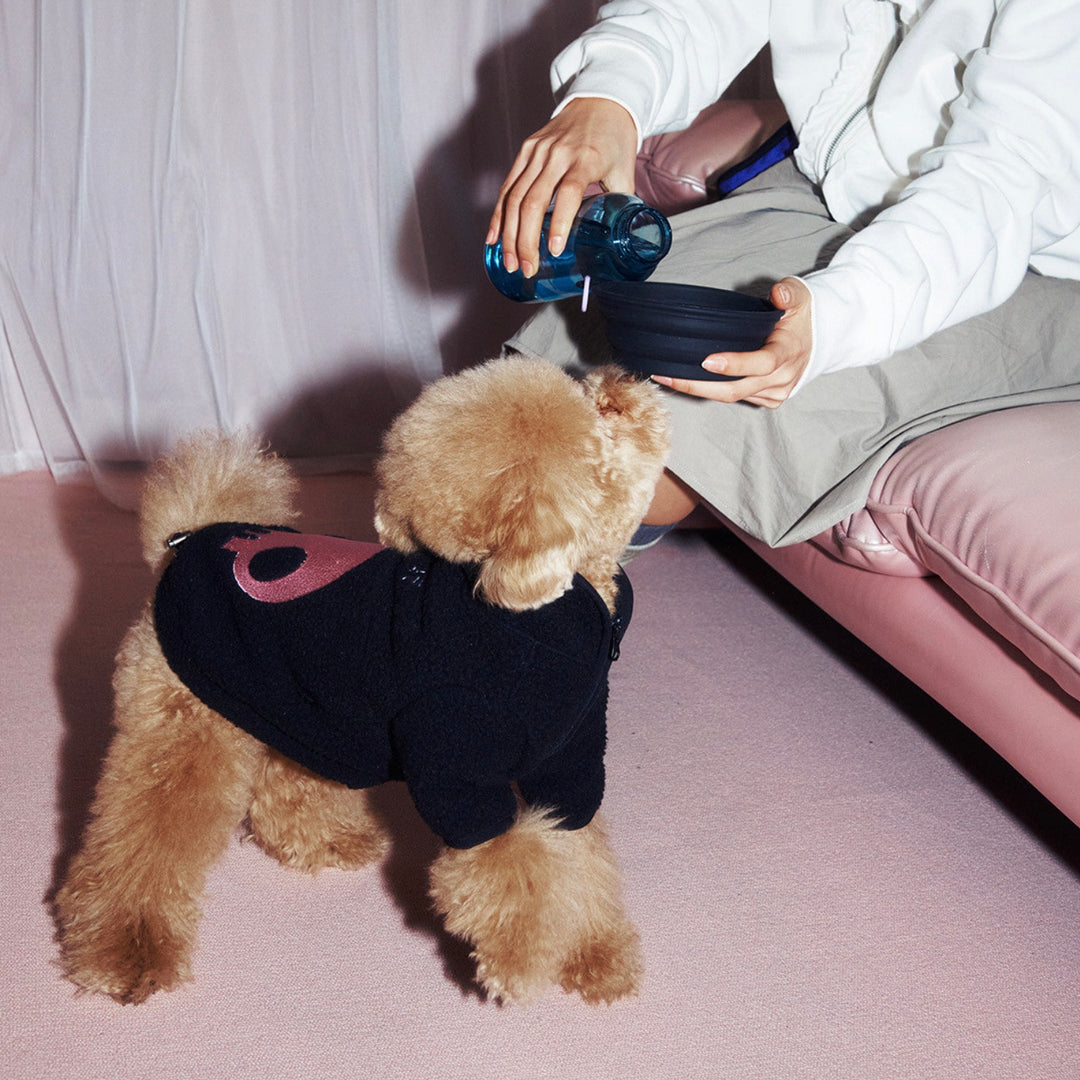 即納【ARUMARU】KUROMI × ARUMARU Folding Bowl（Black）