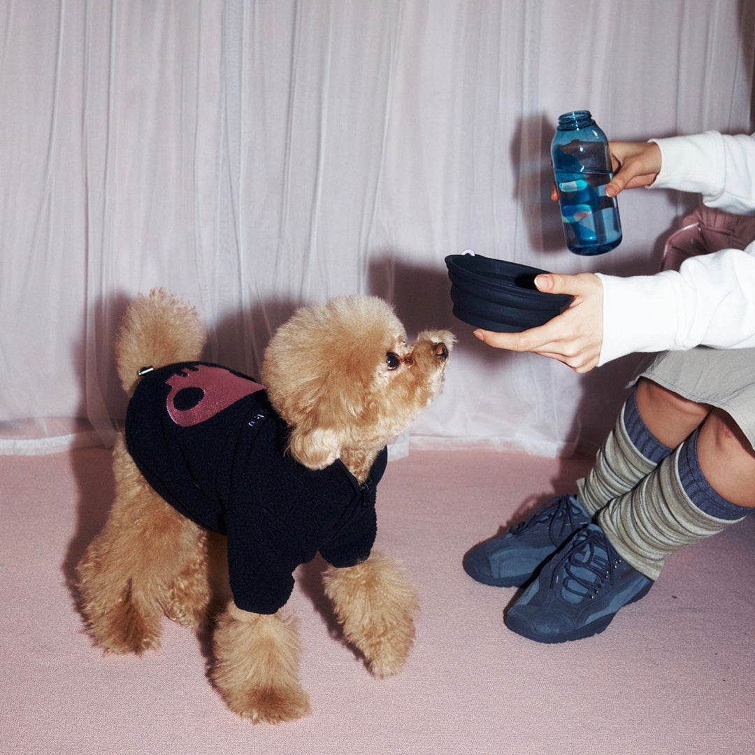 即納【ARUMARU】KUROMI × ARUMARU Folding Bowl（Black）