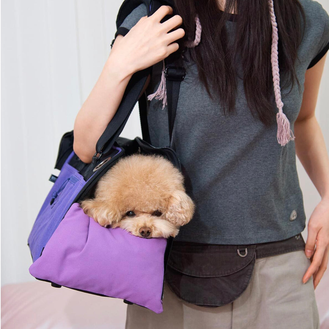 ※予約販売【ARUMARU】KUROMI × ARUMARU Carry Bag（Purple）｜犬用バッグ