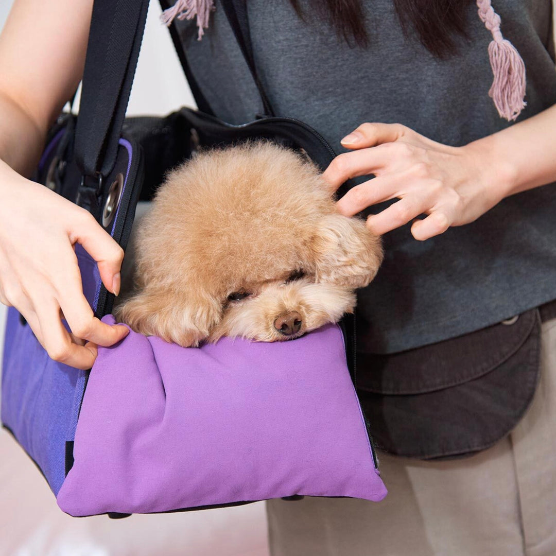 ※予約販売【ARUMARU】KUROMI × ARUMARU Carry Bag（Purple）｜犬用バッグ