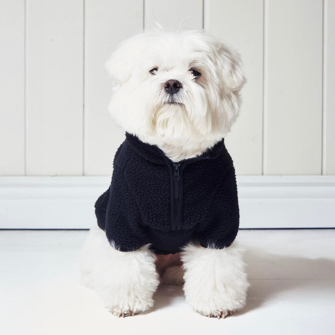 ※予約販売【ARUMARU】KUROMI × ARUMARU Pet Fleece Half Zip（Black）