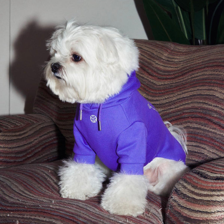 即納【ARUMARU】KUROMI × ARUMARU Pet Straight Zip Hoodie（Purple）
