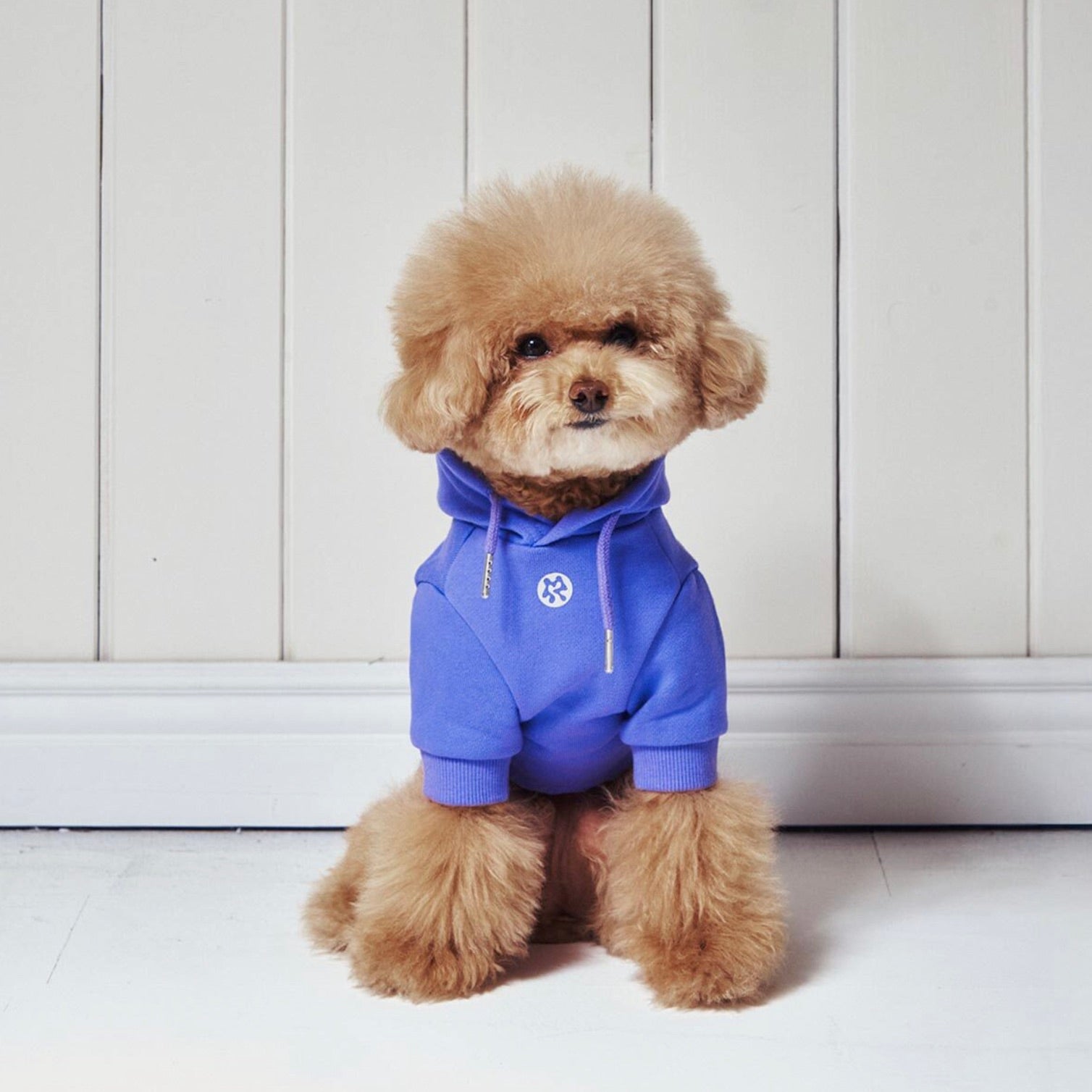 海外犬服 高品質なインポートのドッグウェア通販 