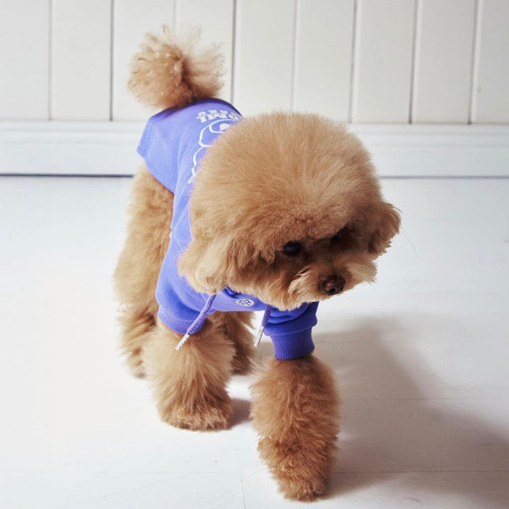 即納【ARUMARU】KUROMI × ARUMARU Pet Straight Zip Hoodie（Purple）