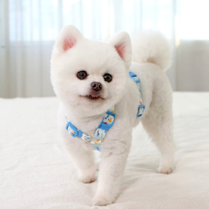 即納【ITS DOG】Disney Comfort H-type Harness｜犬用ハーネス