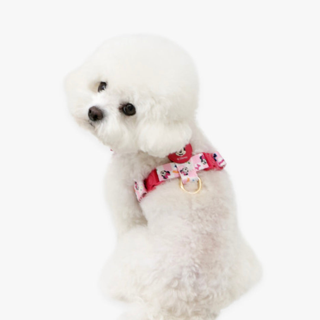 即納【ITS DOG】Disney Comfort H-type Harness｜犬用ハーネス