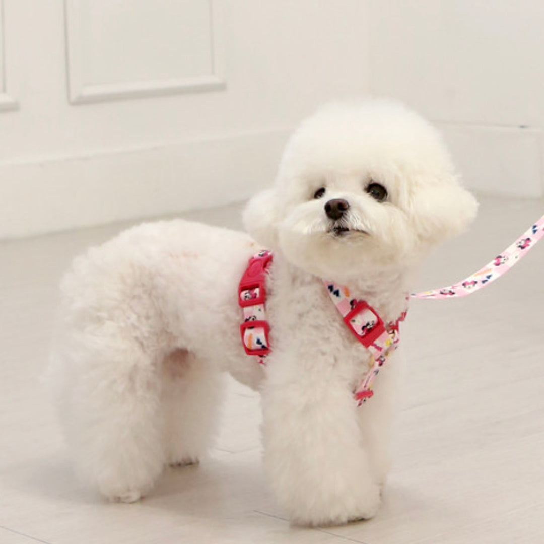 即納【ITS DOG】Disney Comfort H-type Harness｜犬用ハーネス