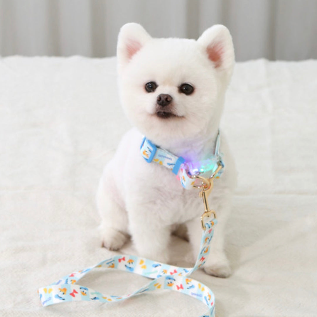 即納【ITS DOG】Disney Comfort LED Collar