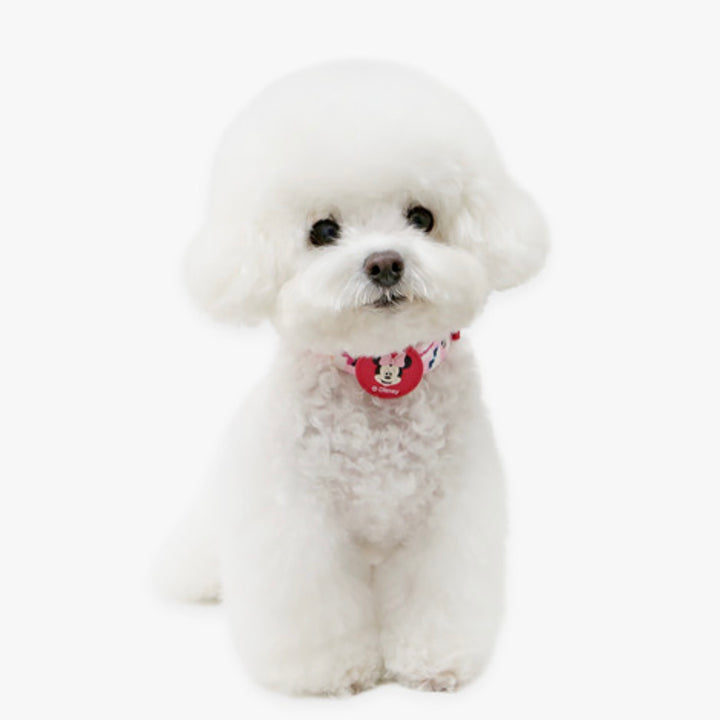 即納【ITS DOG】Disney Comfort LED Collar