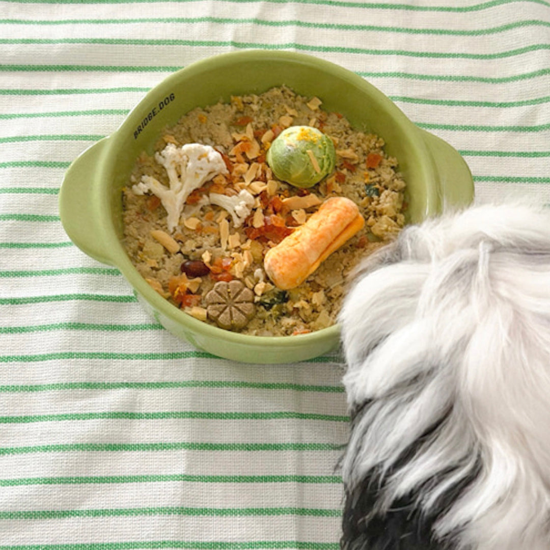 ※予約販売【BRIDGE.DOG】MATCHA SERIES