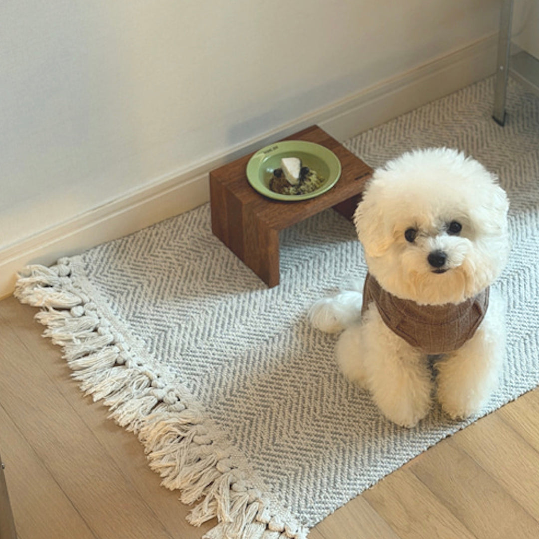 ※予約販売【BRIDGE.DOG】MATCHA SERIES