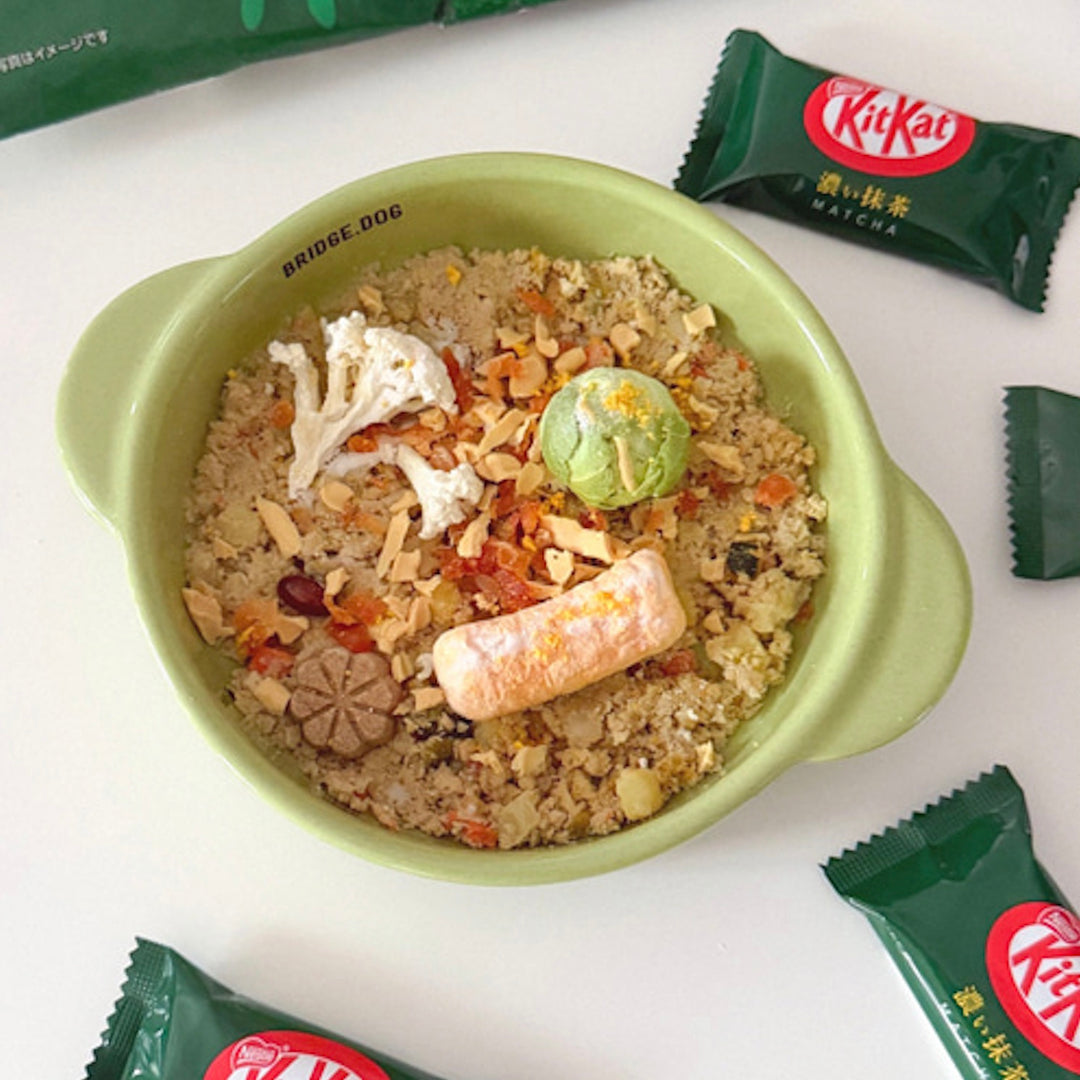 ※予約販売【BRIDGE.DOG】MATCHA SERIES