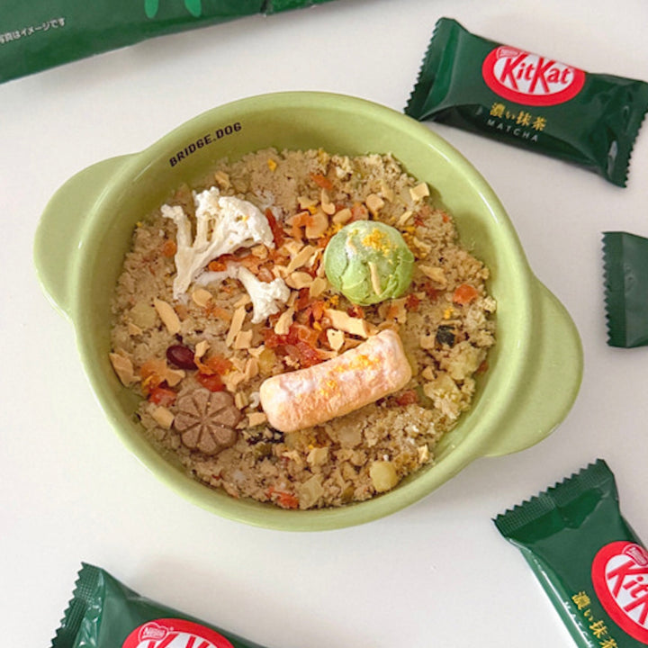 ※予約販売【BRIDGE.DOG】MATCHA SERIES